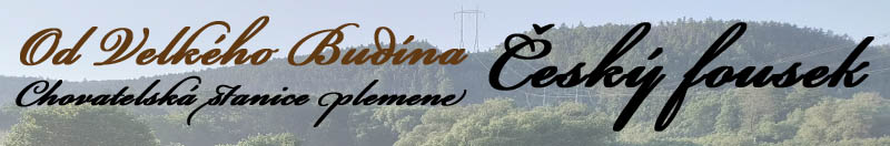 Chovatelská stanice Českého fouska - Od Velkého Budína