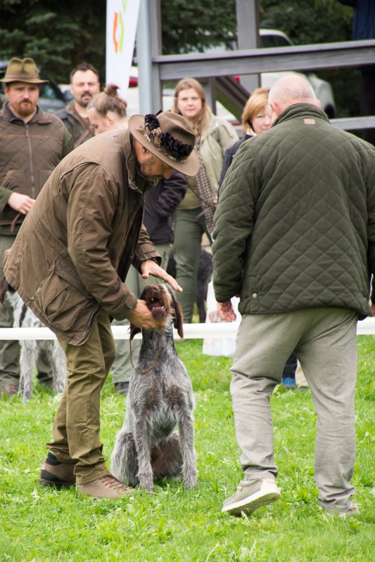 Simínský mlýn 2025