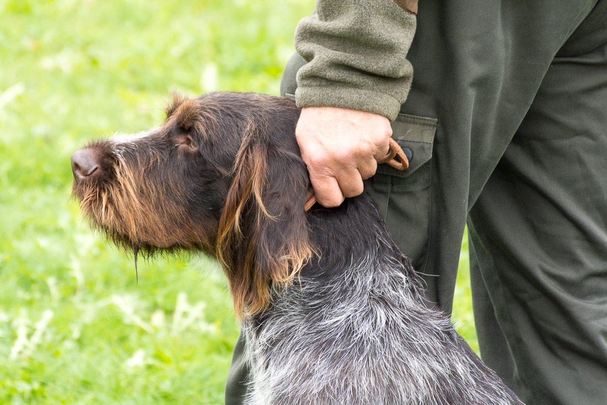 Simínský mlýn 2025