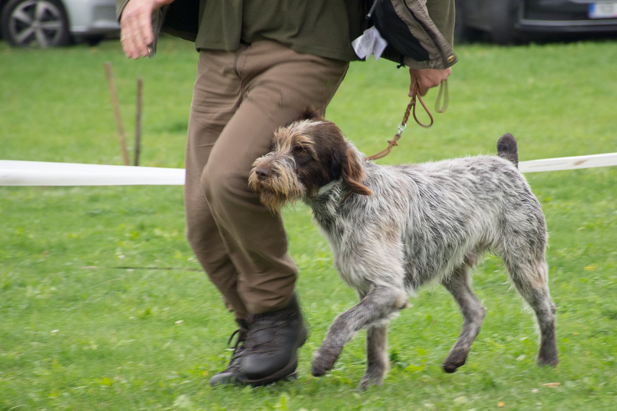 Simínský mlýn 2025