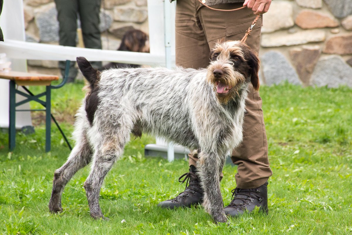 Simínský mlýn 2025