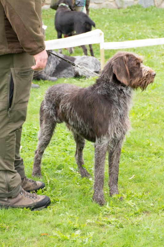 Simínský mlýn 2025