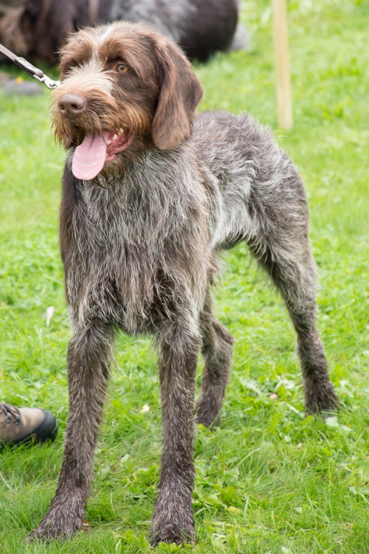 Simínský mlýn 2025