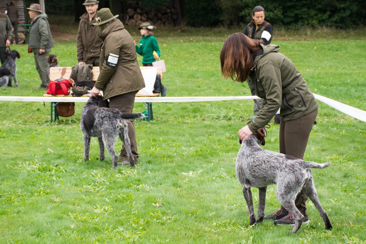 Simínský mlýn 2025