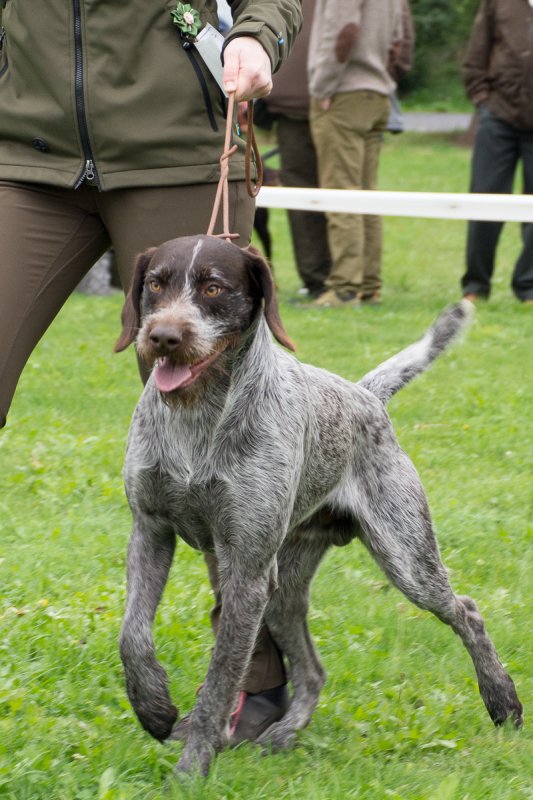 Simínský mlýn 2025