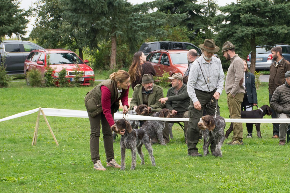 Simínský mlýn 2025