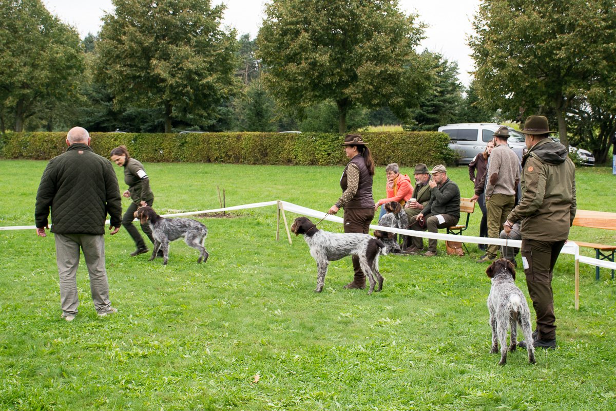 Simínský mlýn 2025