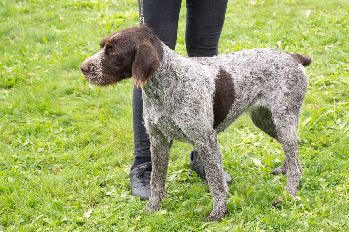 Simínský mlýn 2025