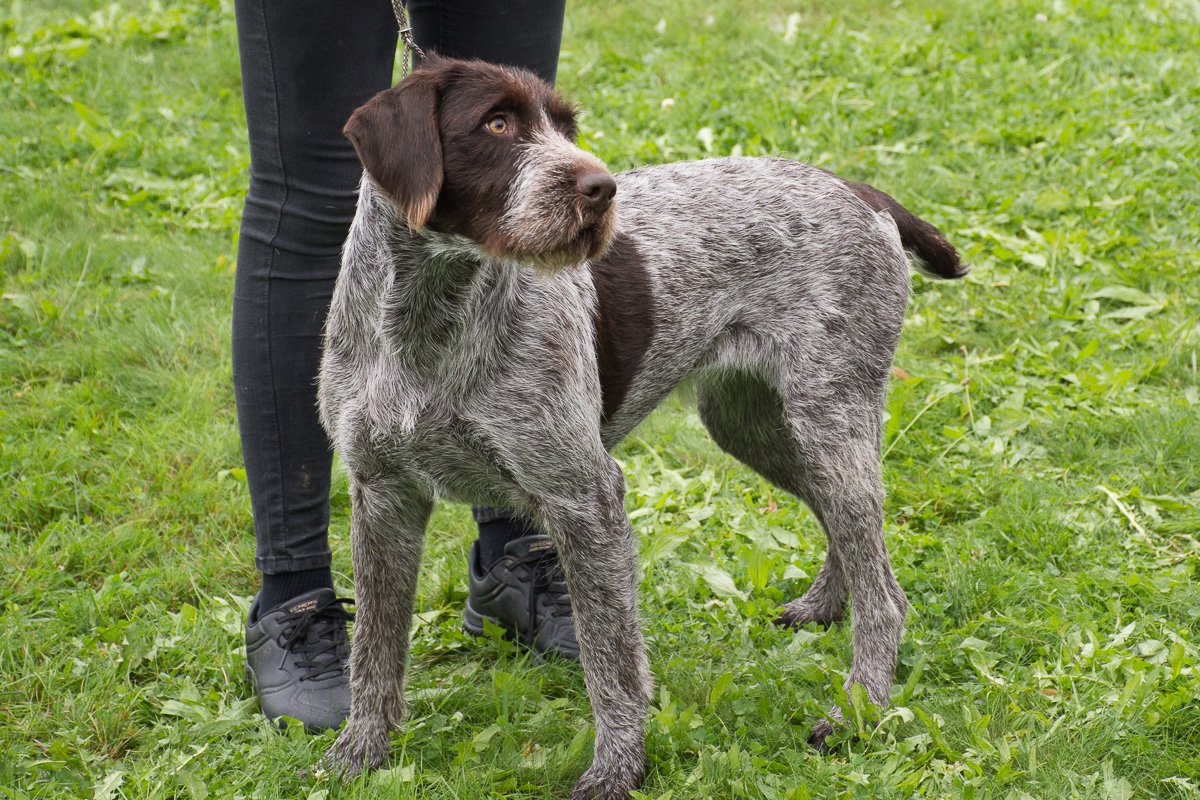 Simínský mlýn 2025