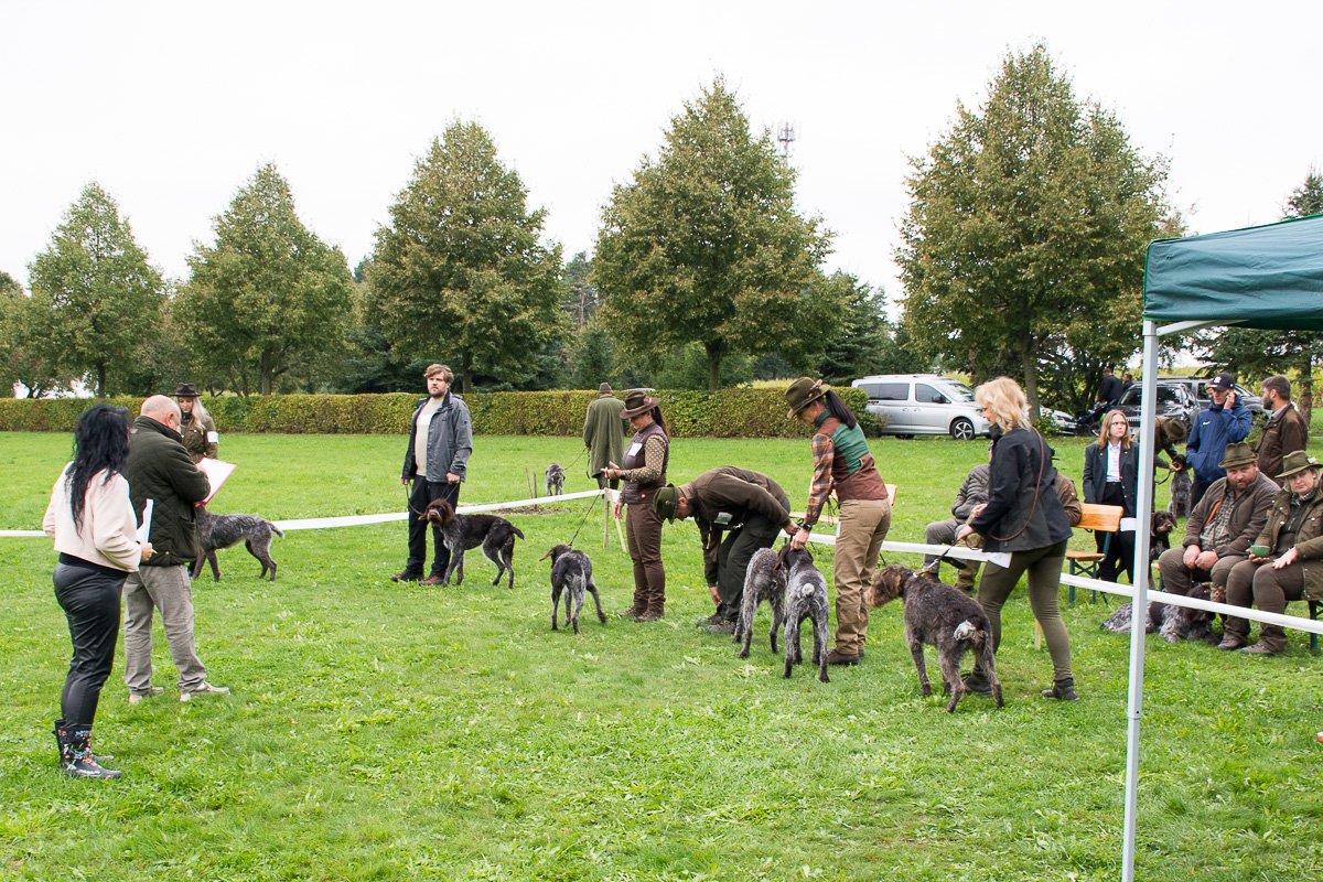 Simínský mlýn 2025