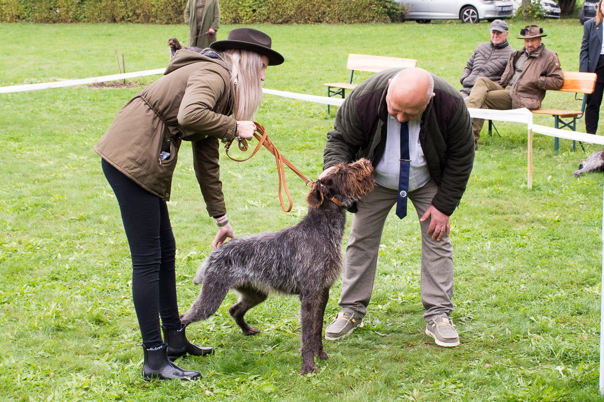 Simínský mlýn 2025