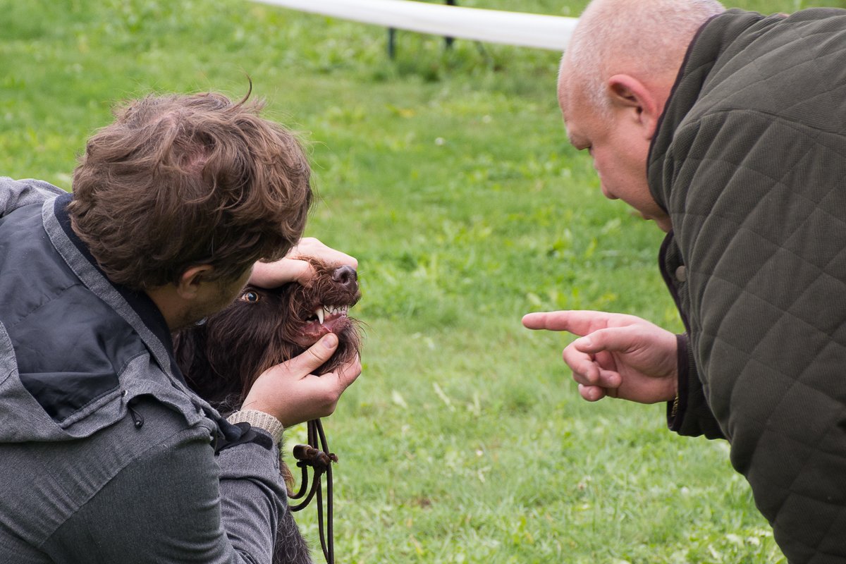 Simínský mlýn 2025