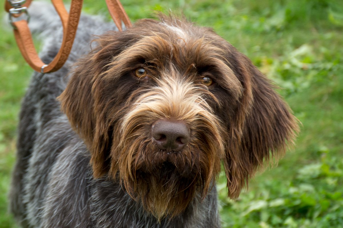 Simínský mlýn 2025