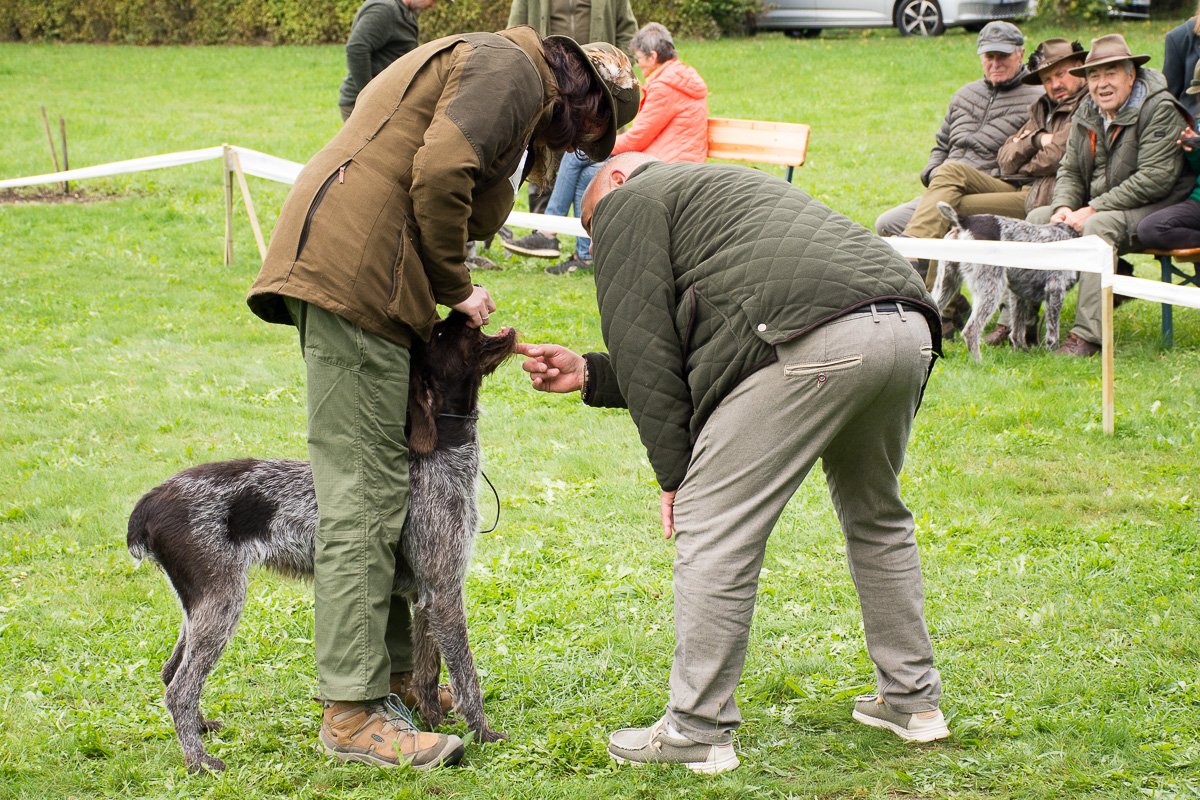 Simínský mlýn 2025