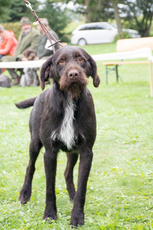 Simínský mlýn 2025