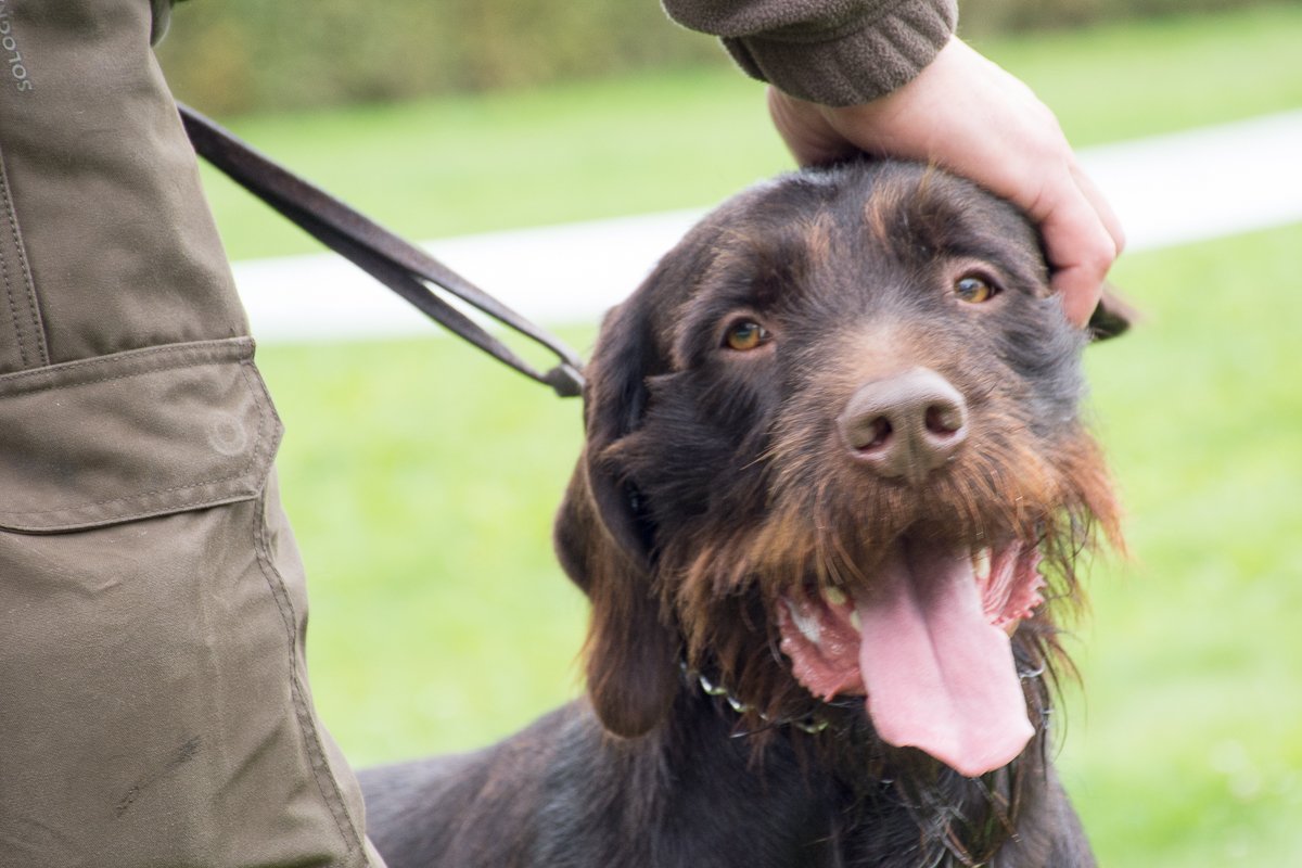 Simínský mlýn 2025