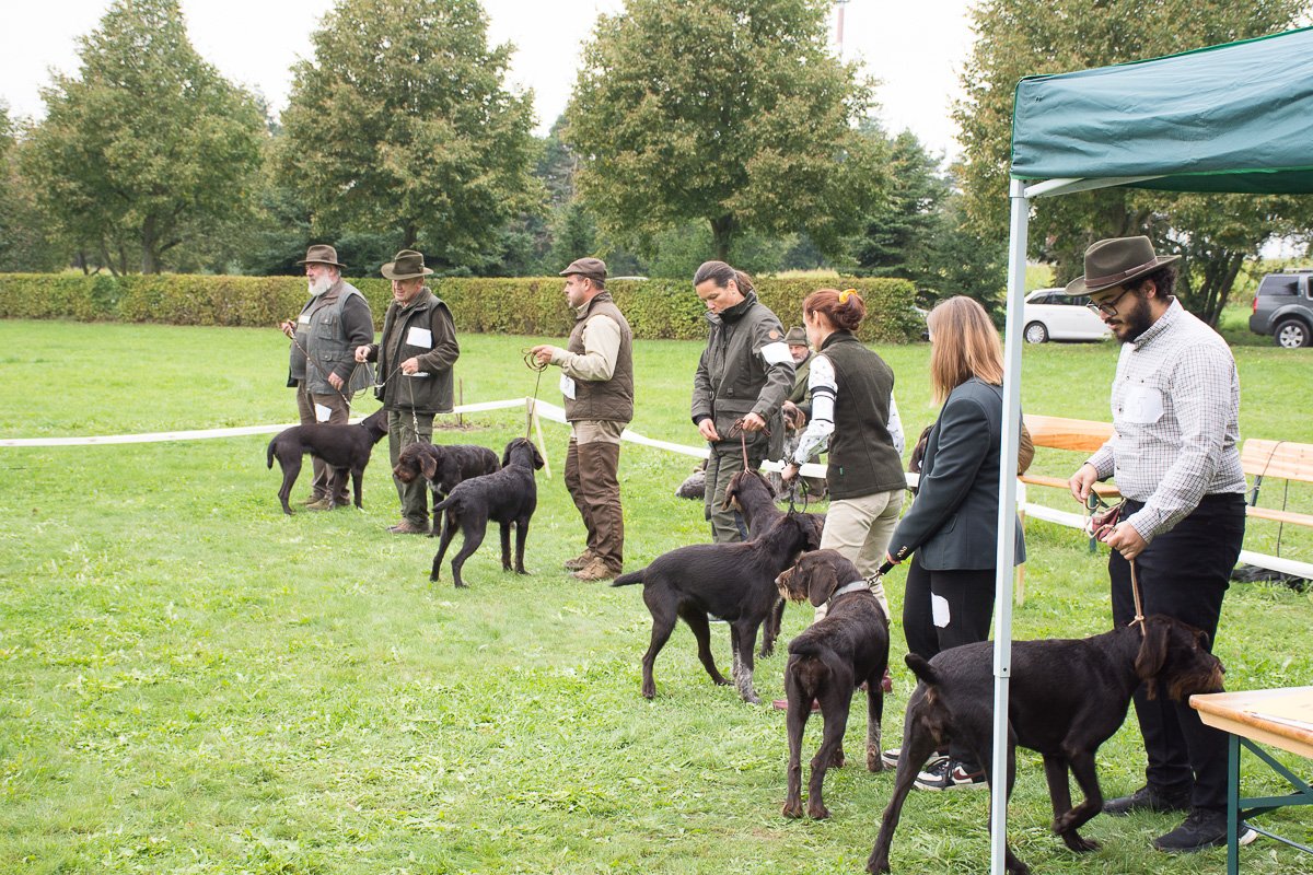 Simínský mlýn 2025