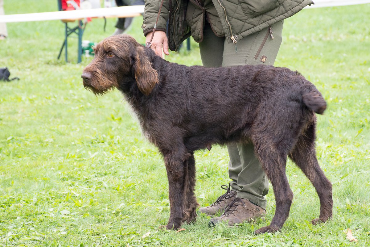 Simínský mlýn 2025