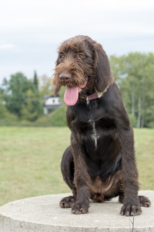 Návštěva Arta a Atose