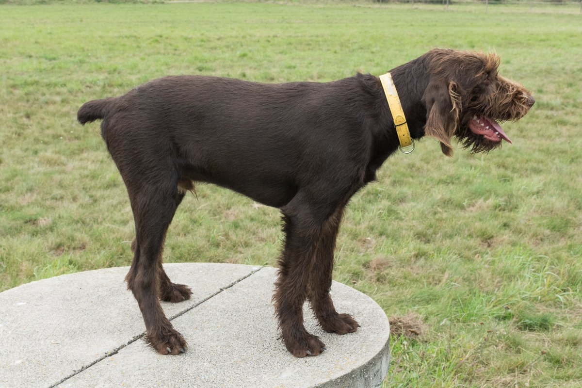 Návštěva Arta a Atose