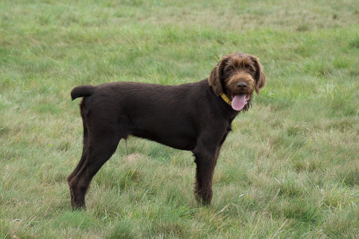 Návštěva Arta a Atose