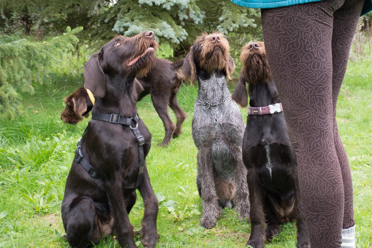 Návštěva Arta a Atose