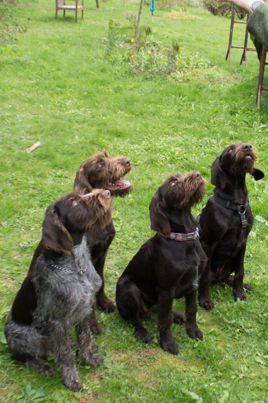 Návštěva Arta a Atose