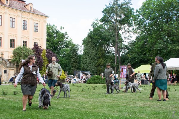 Červený Hrádek 2026